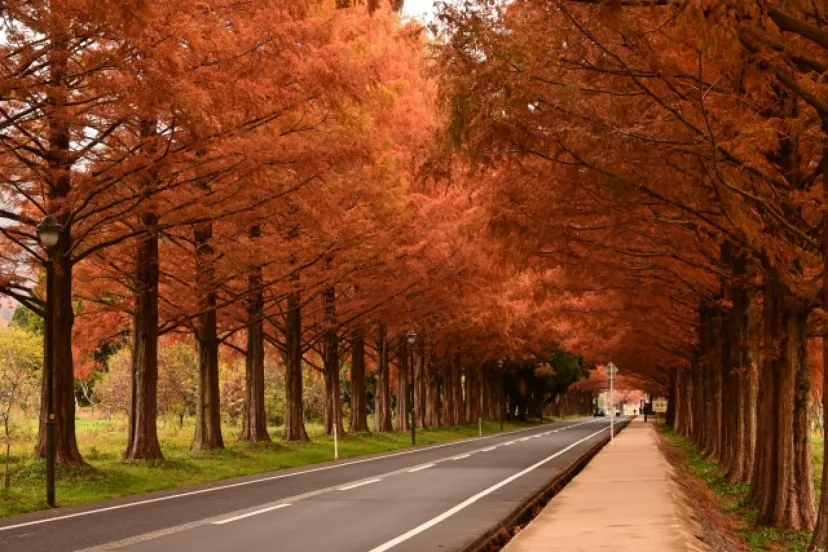 １度は走りたい！絶景ロード10選（関西編）