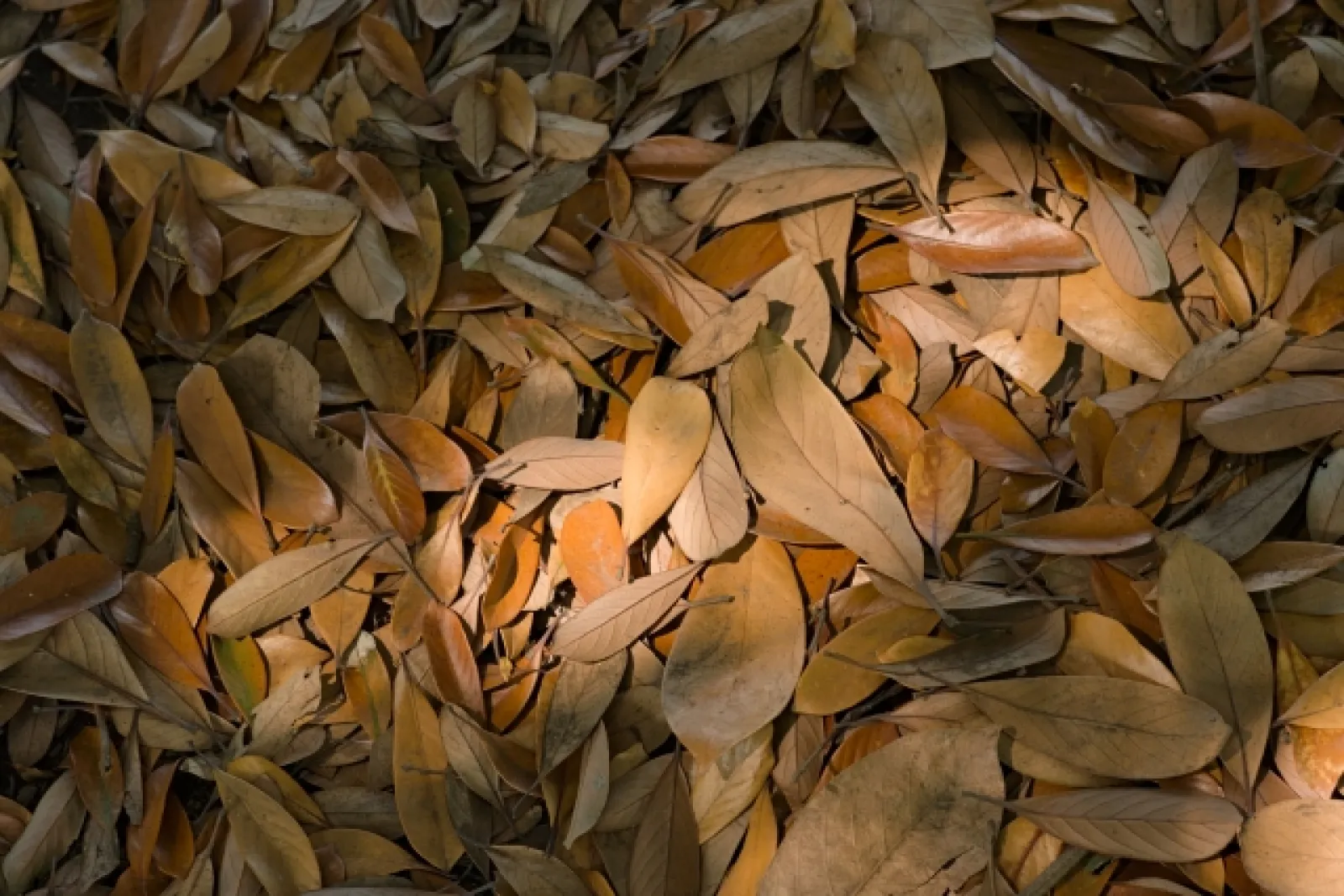 image6-1_l.jpg.webp