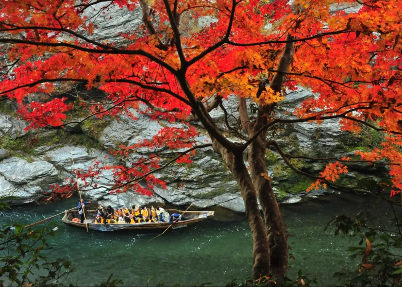 【埼玉・秩父ドライブ】自然アクティビティで思い出づくり(親孝行の旅Vol.9)