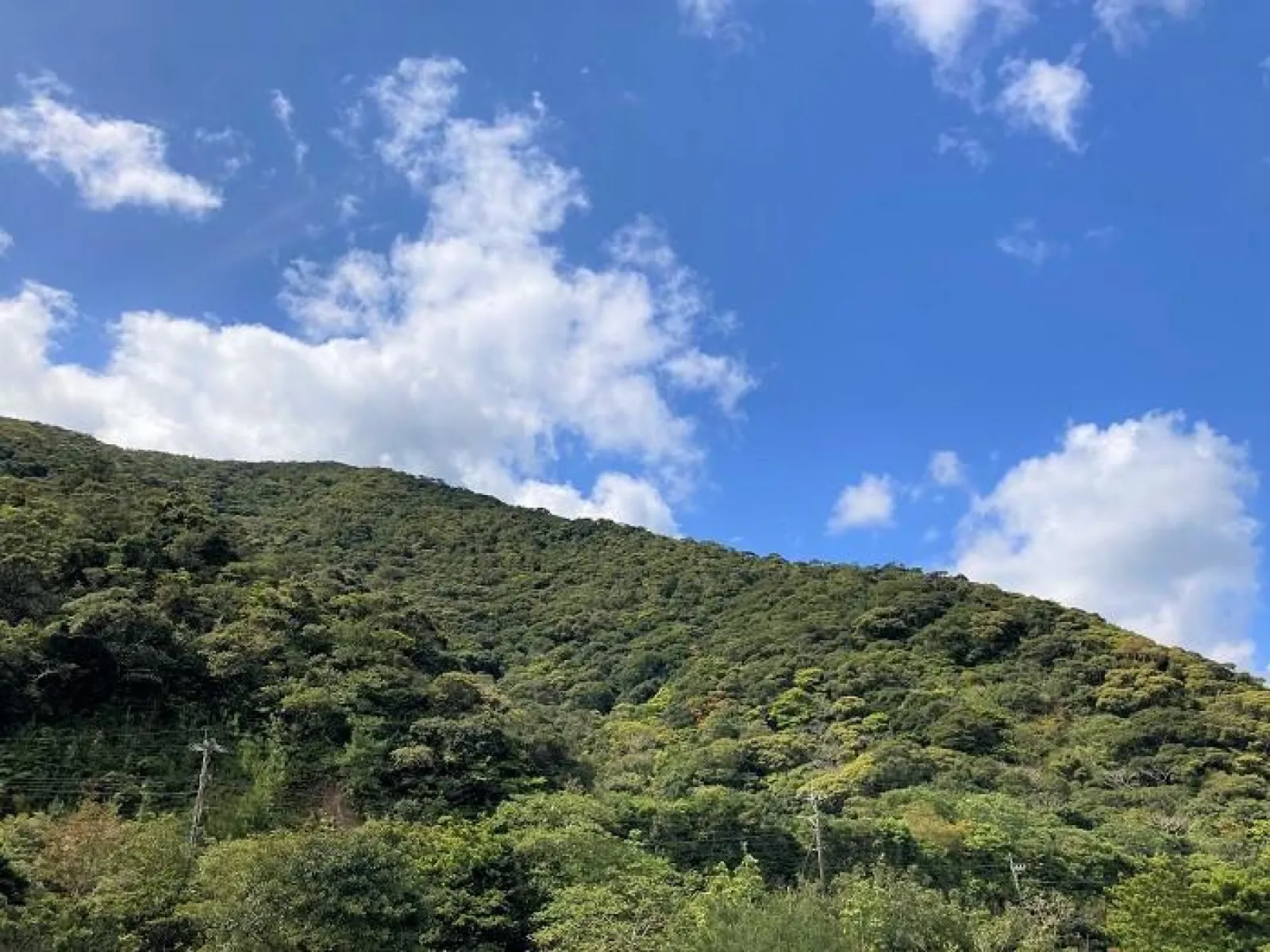 奄美大島