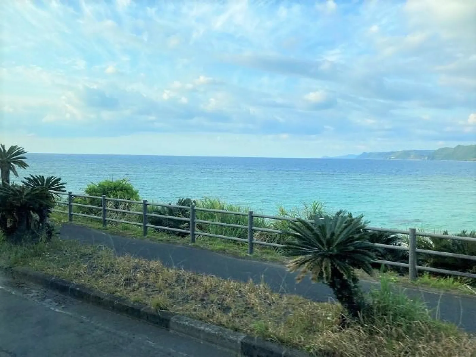 奄美大島