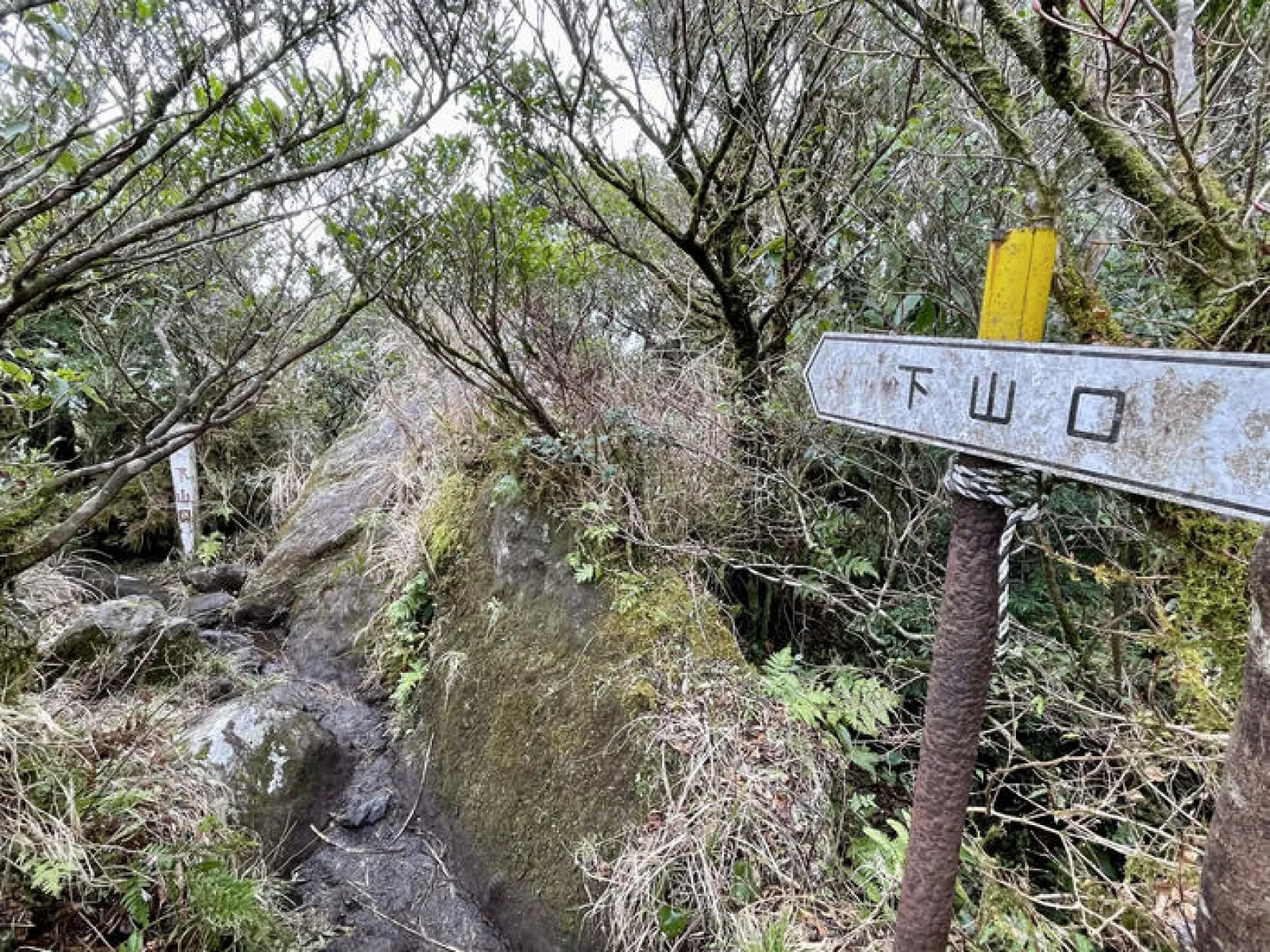 開聞岳　下山口