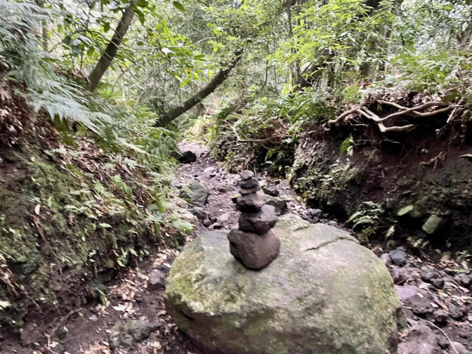 開聞岳　登山道