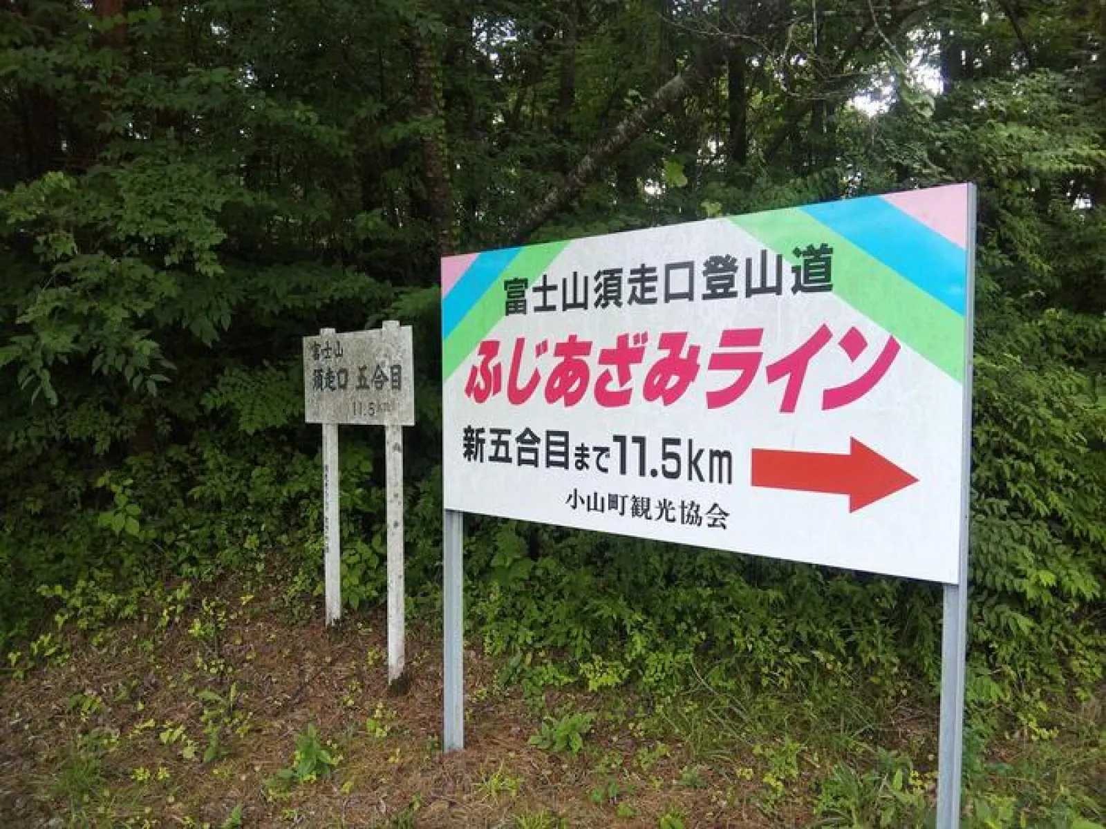 難関11.5kmの登山道
