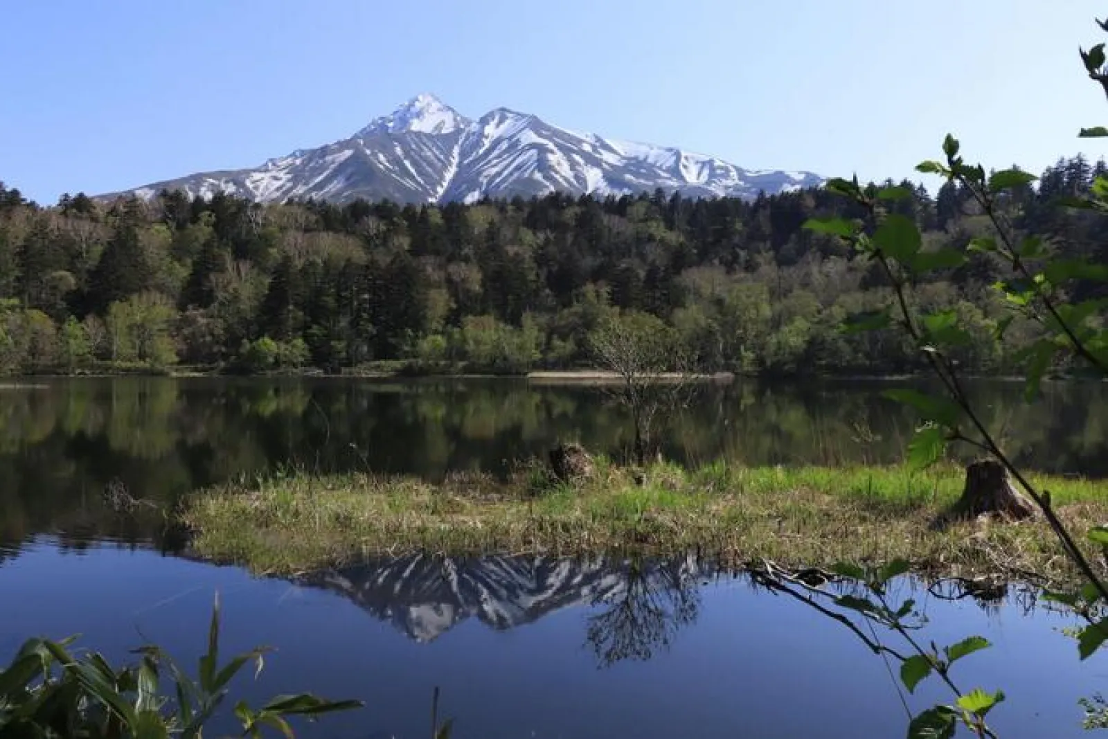  姫沼と利尻山