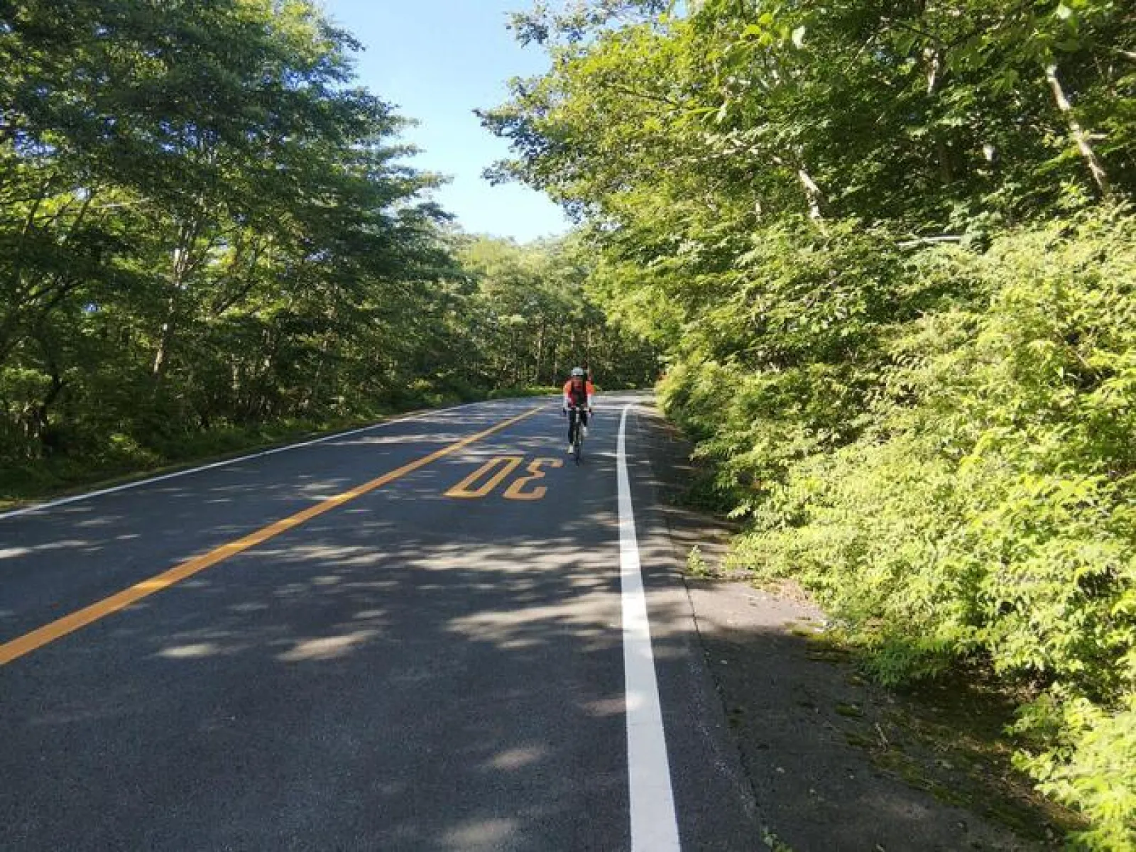 登り3時間掛かりましたが下りはスイスイ