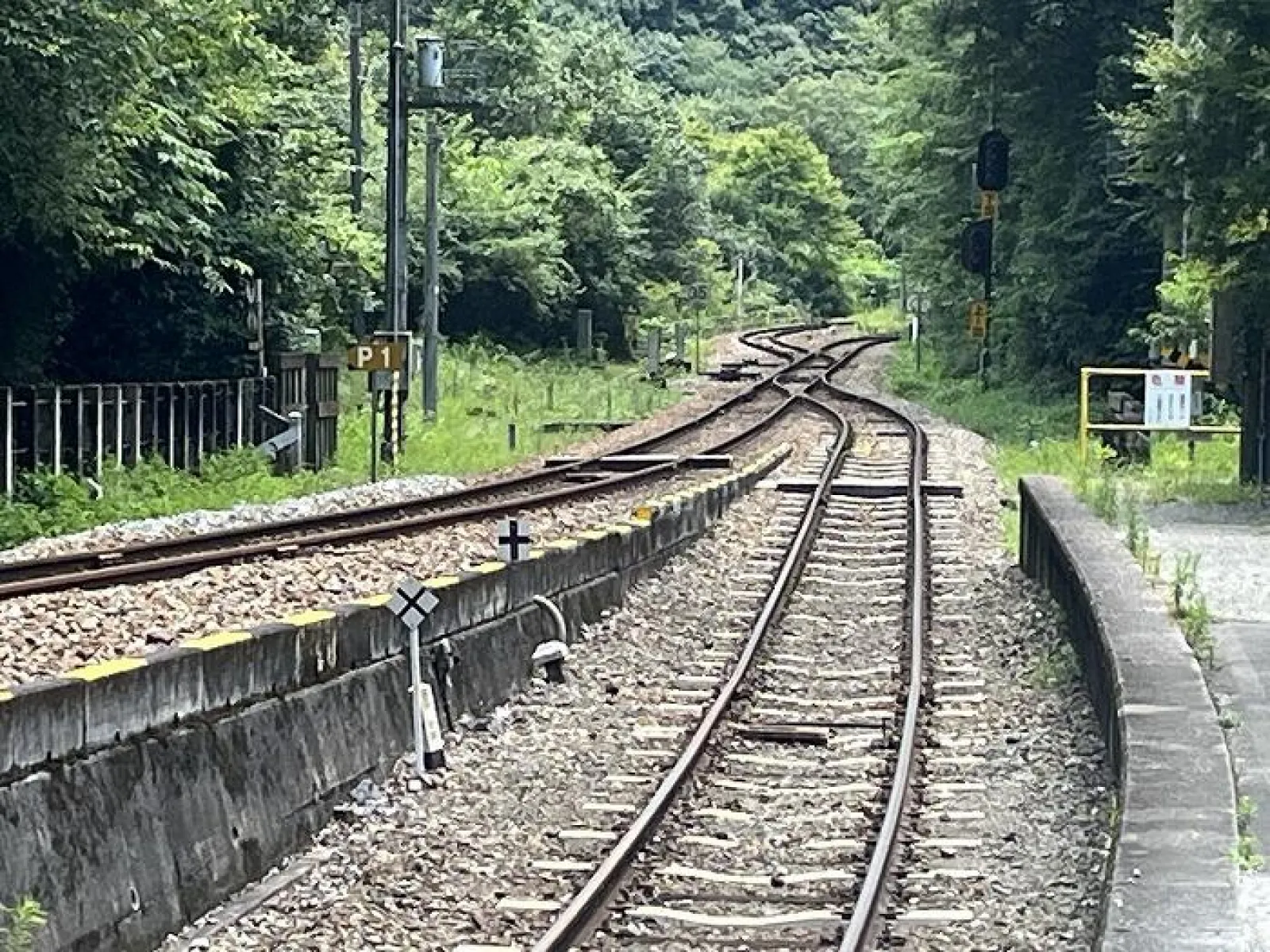 スイッチバックで有名な秘境駅