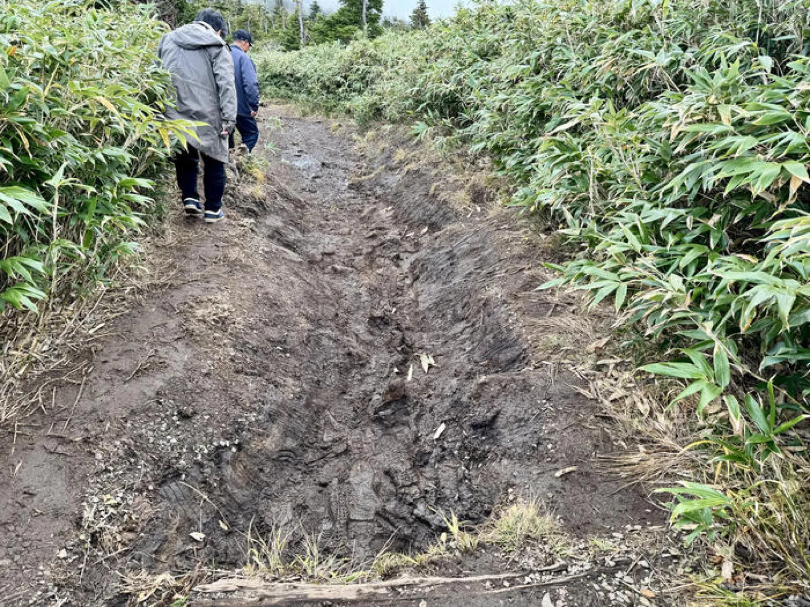 八甲田ロープウェー　遊歩道