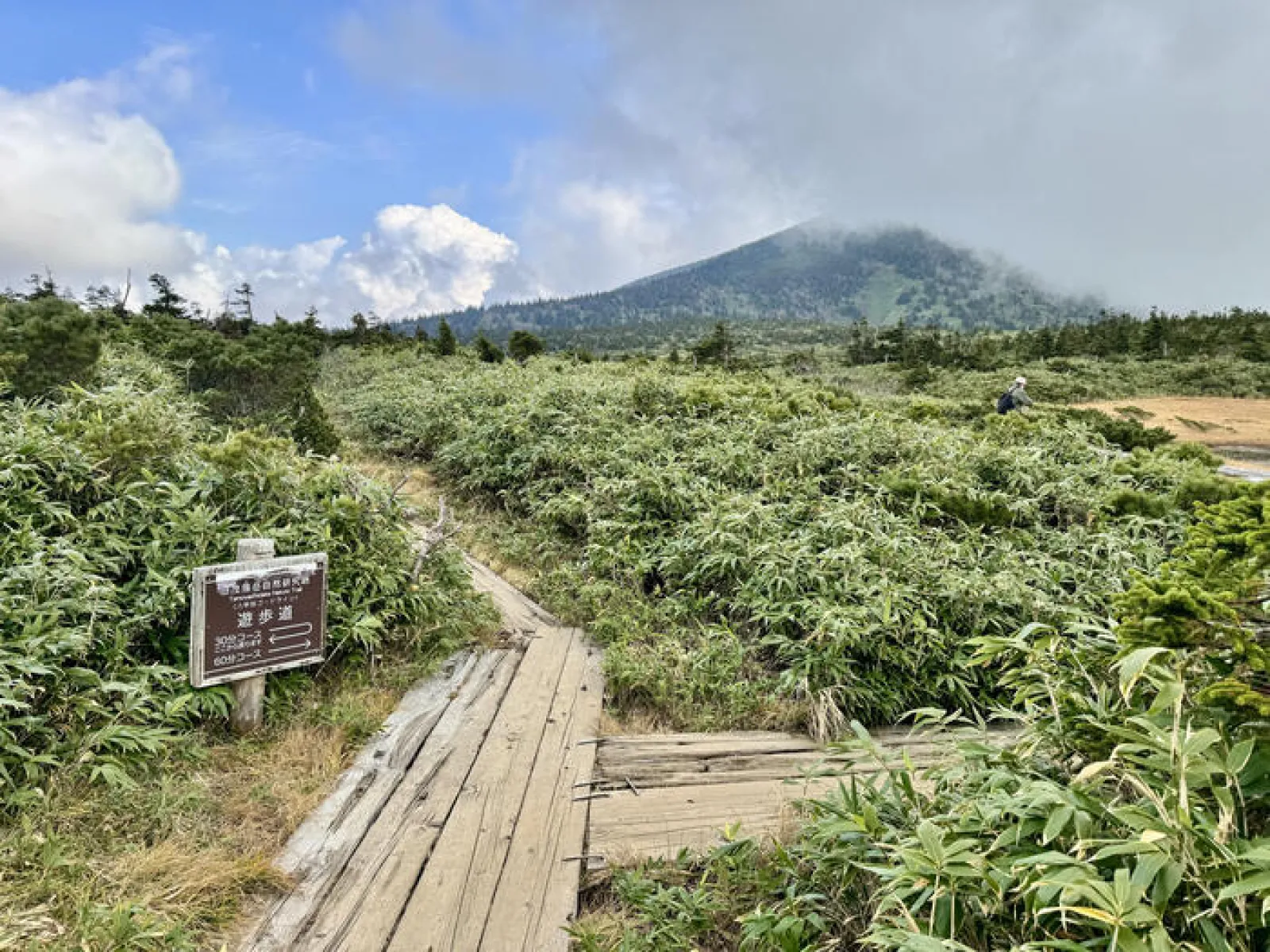 八甲田ロープウェー　田茂萢湿原