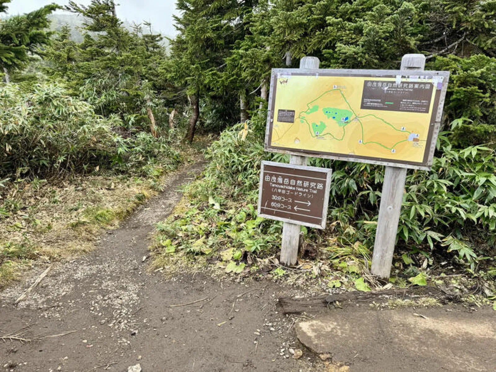 八甲田ロープウェー　ゴードライン