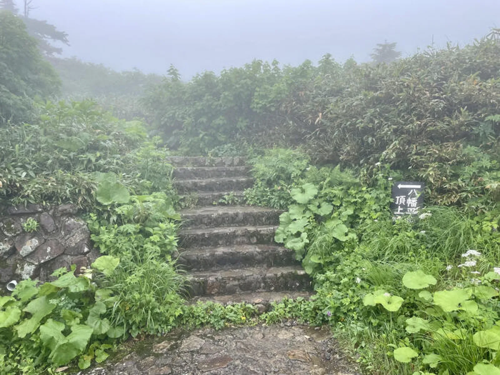 日本百名山　八幡平