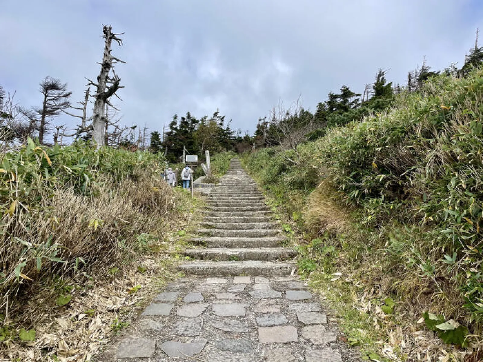 八幡平