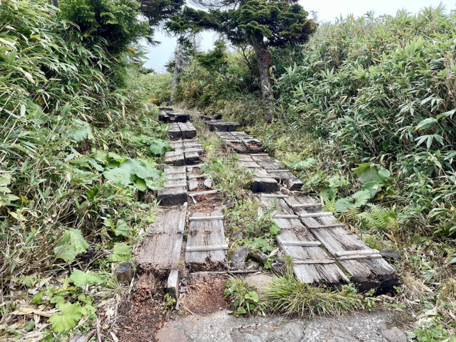 八幡平