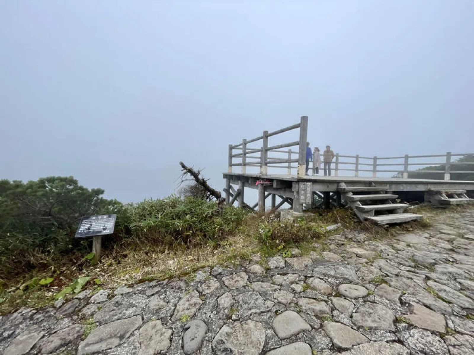 八幡平　ガマ沼