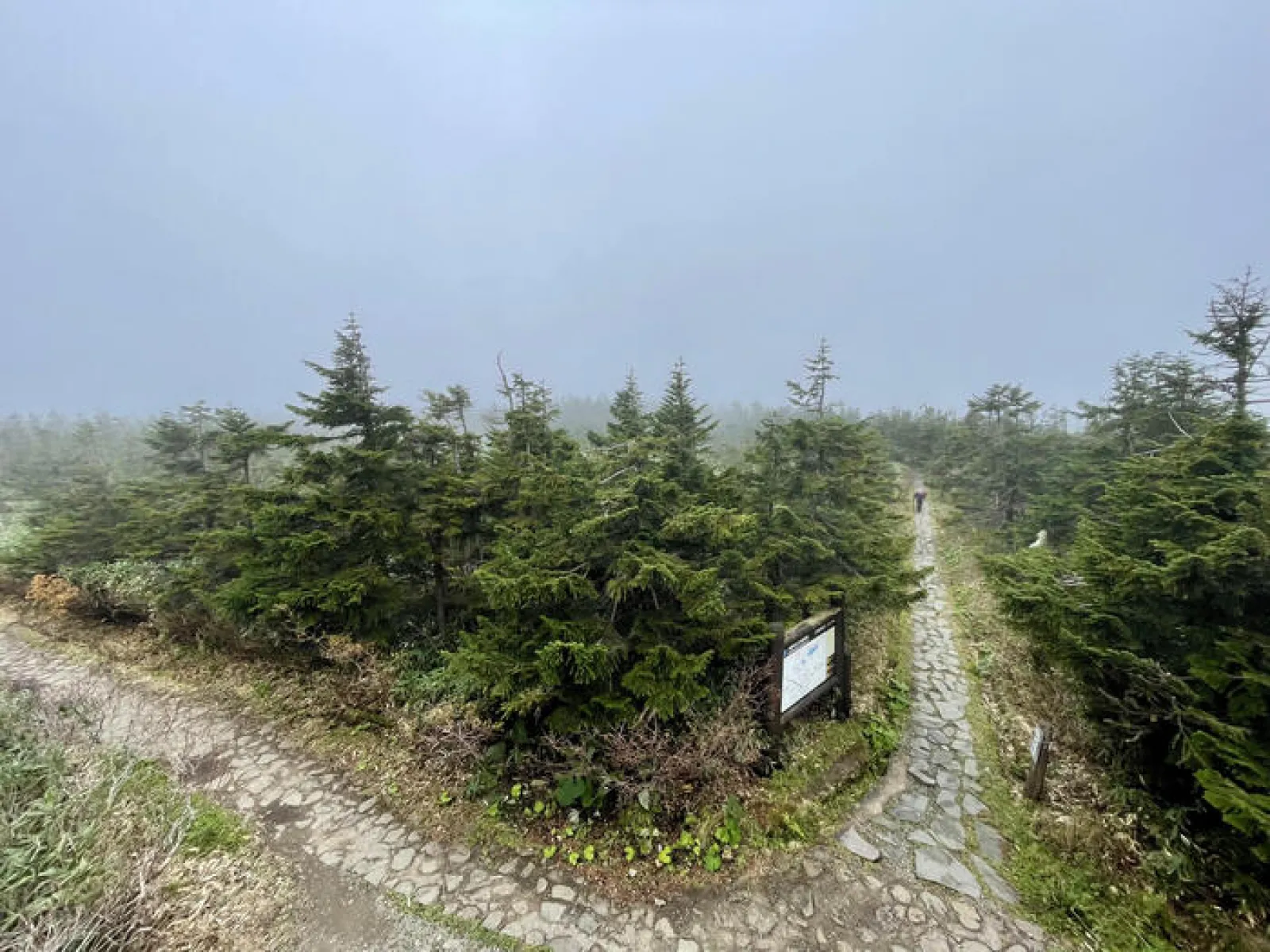 八幡平