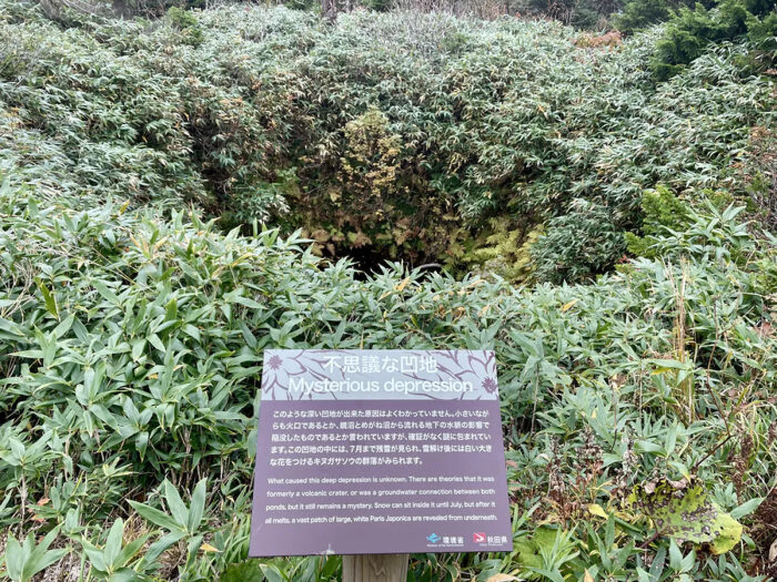 八幡平