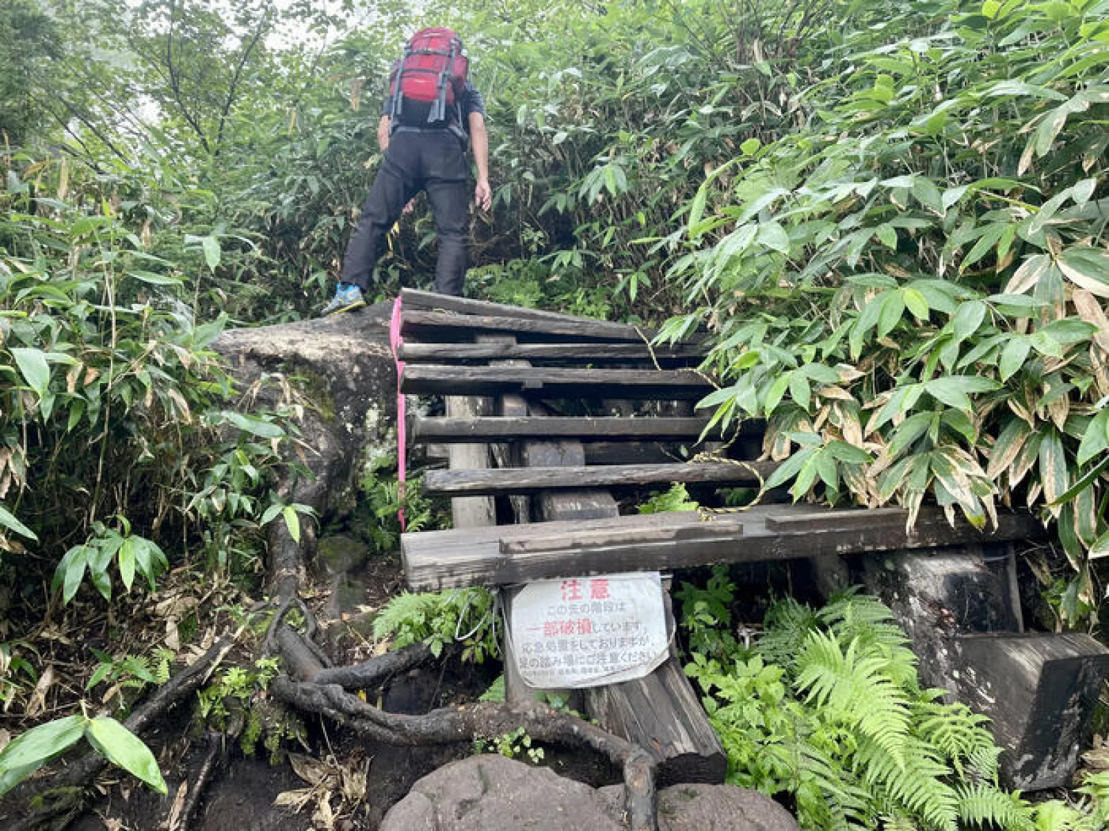 燧ヶ岳　御池ルート