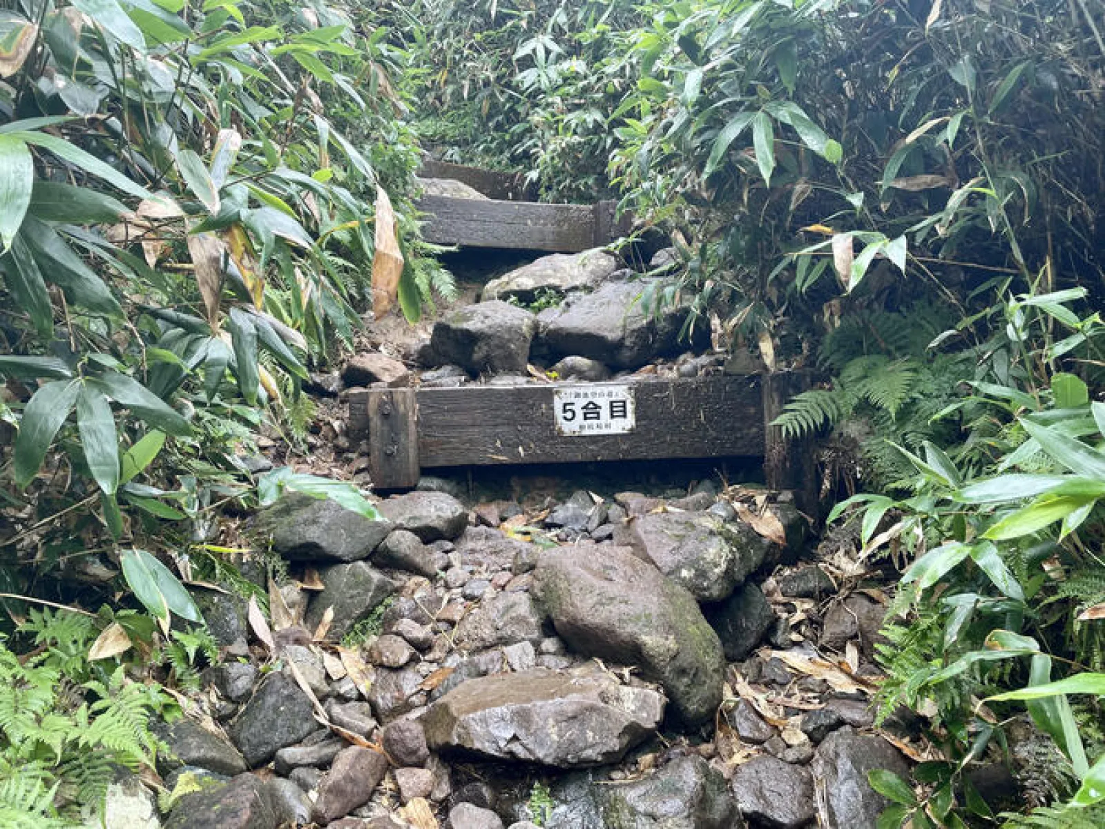 燧ヶ岳　御池ルート