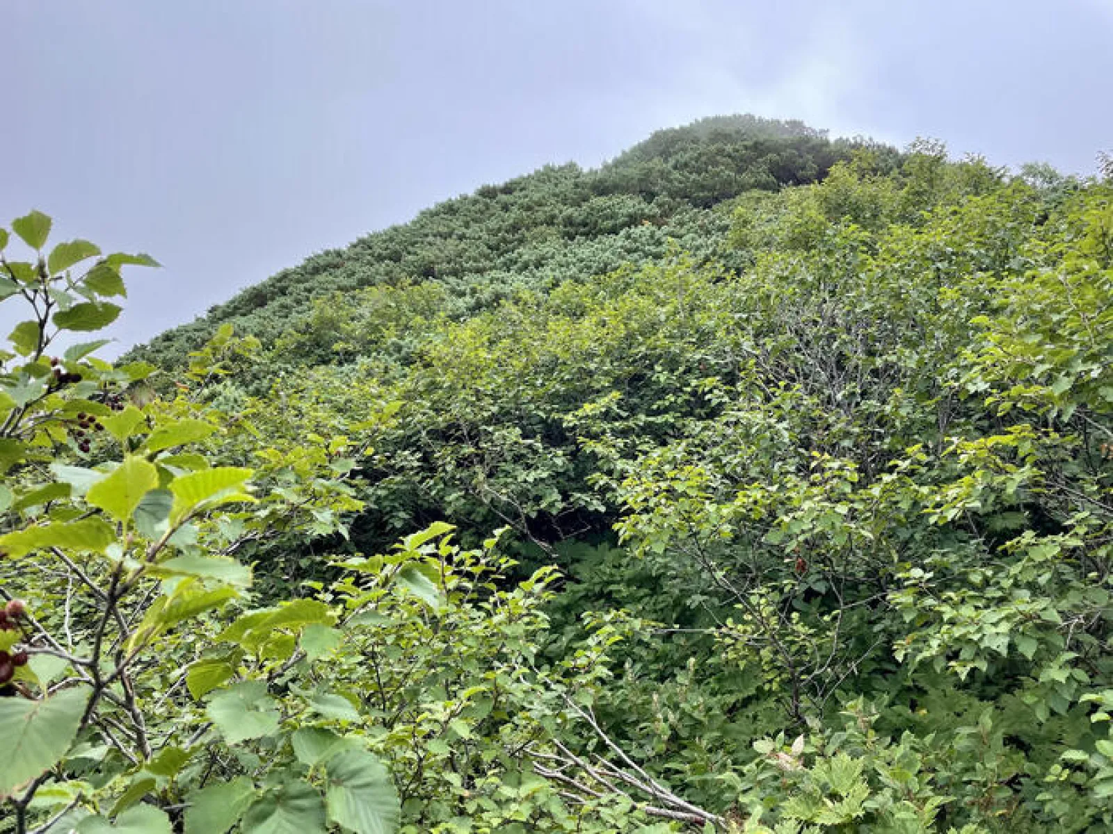 燧ヶ岳　御池ルート