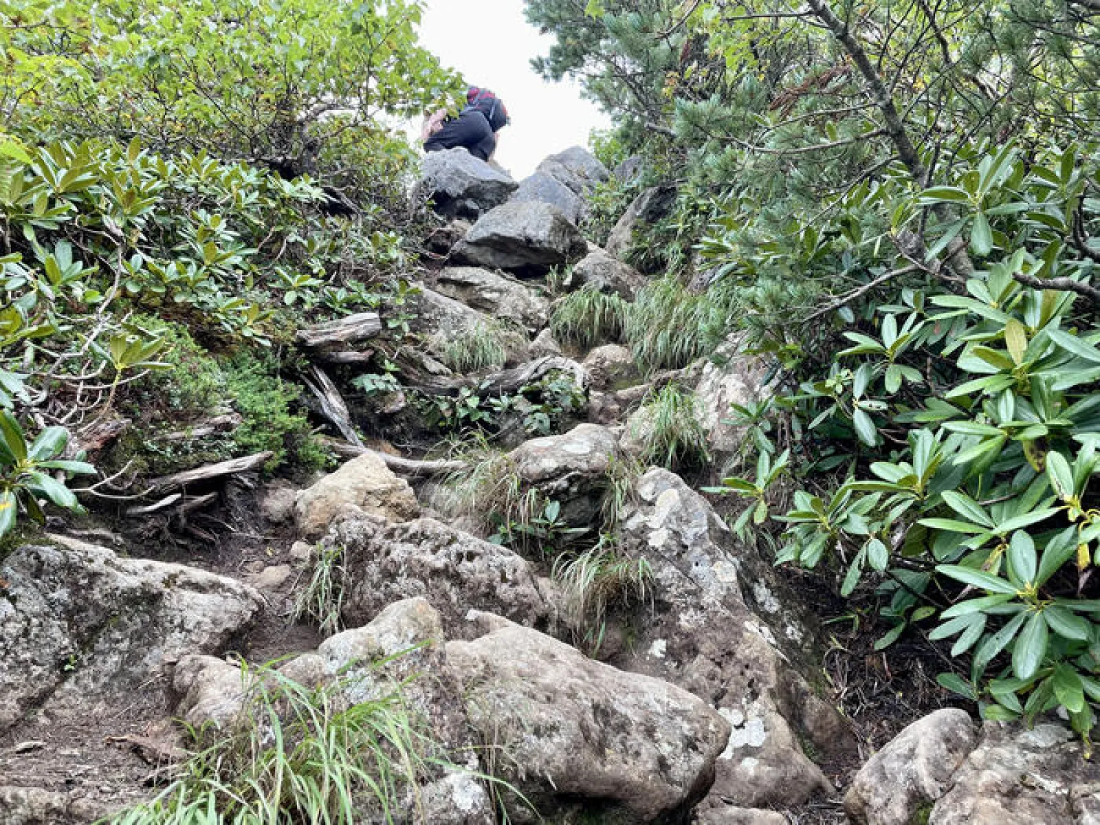 燧ヶ岳　御池ルート