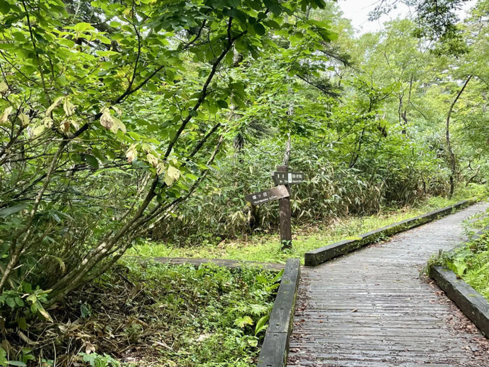 燧ヶ岳　