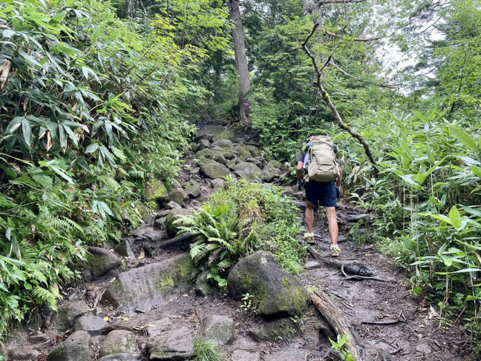 燧ヶ岳　御池ルート