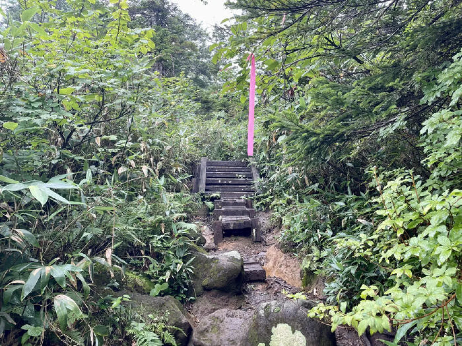 燧ヶ岳　御池ルート