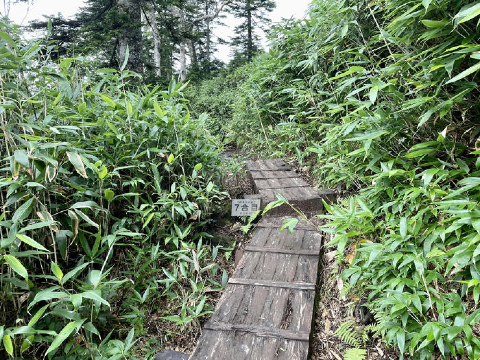 燧ヶ岳　御池ルート