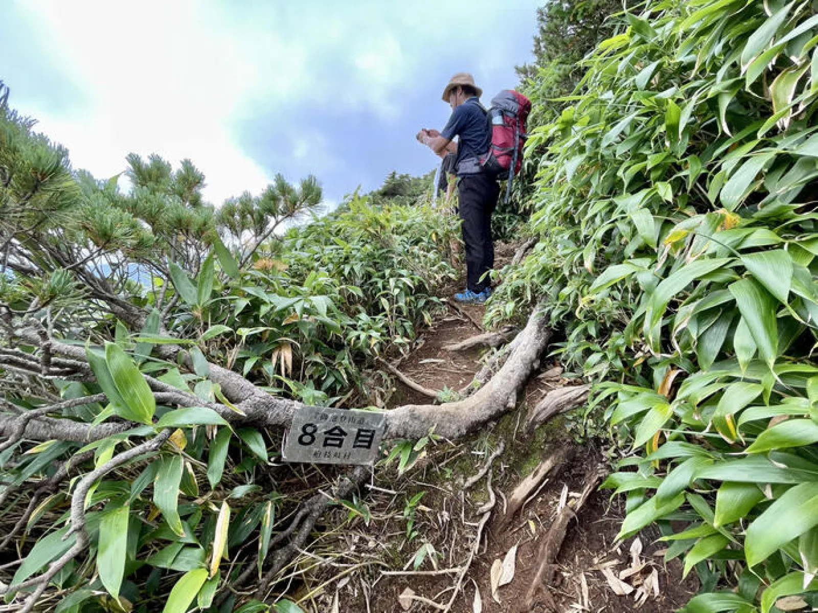 燧ヶ岳　御池ルート