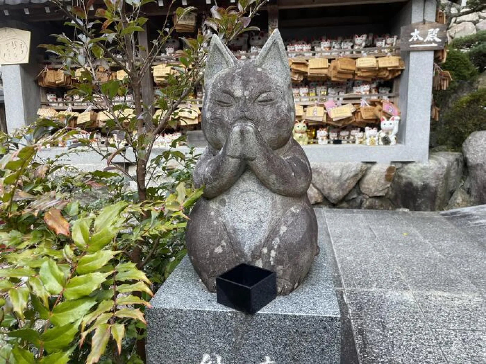 猫の絵馬