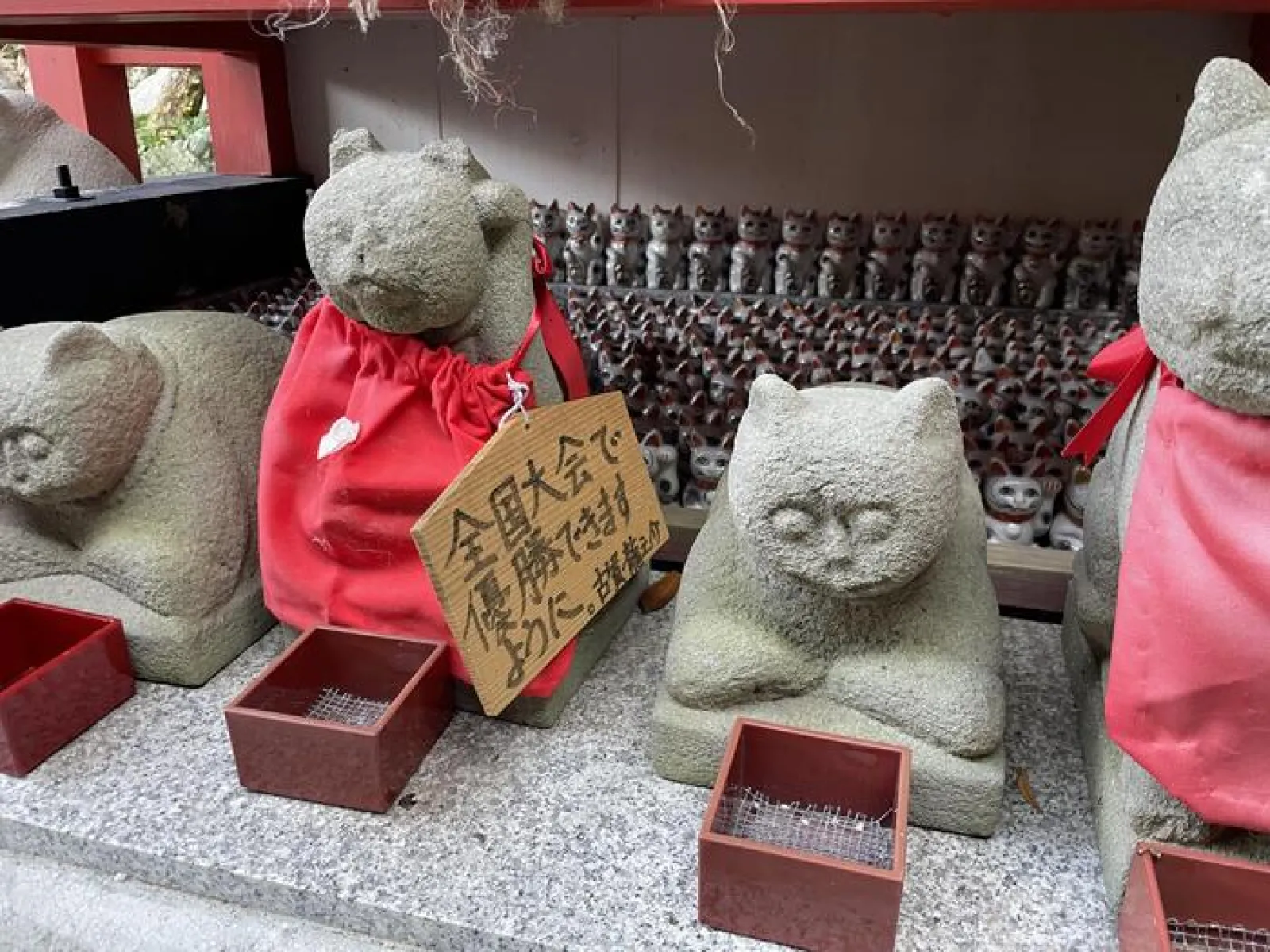 猫・猫・猫