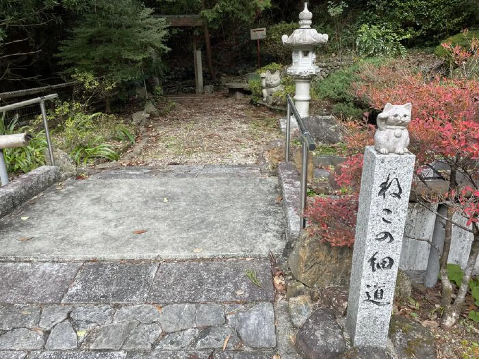 ねこの細道