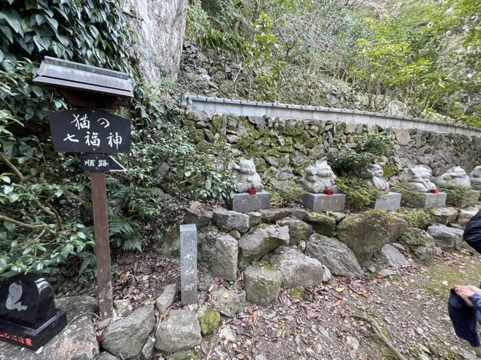 ねこの七福神