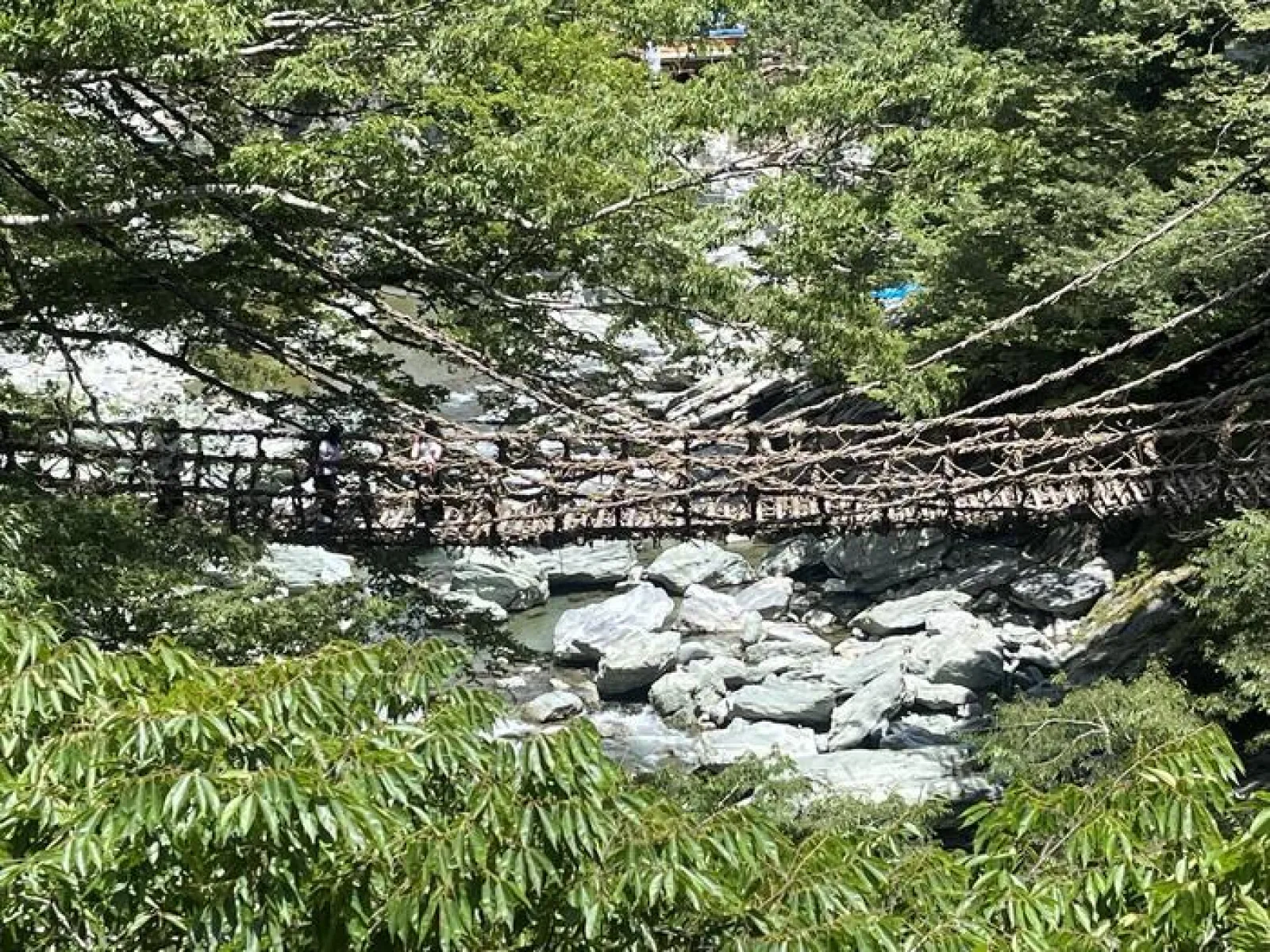 祖谷のかずら橋