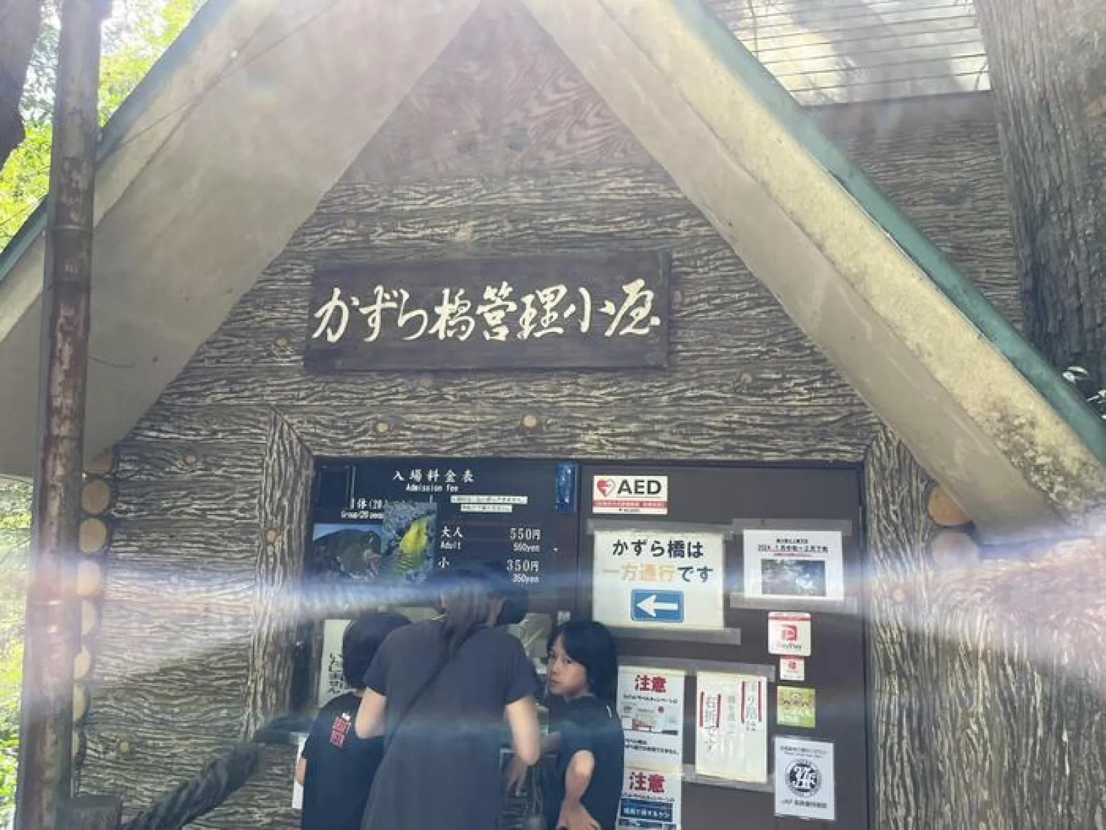 祖谷のかずら橋