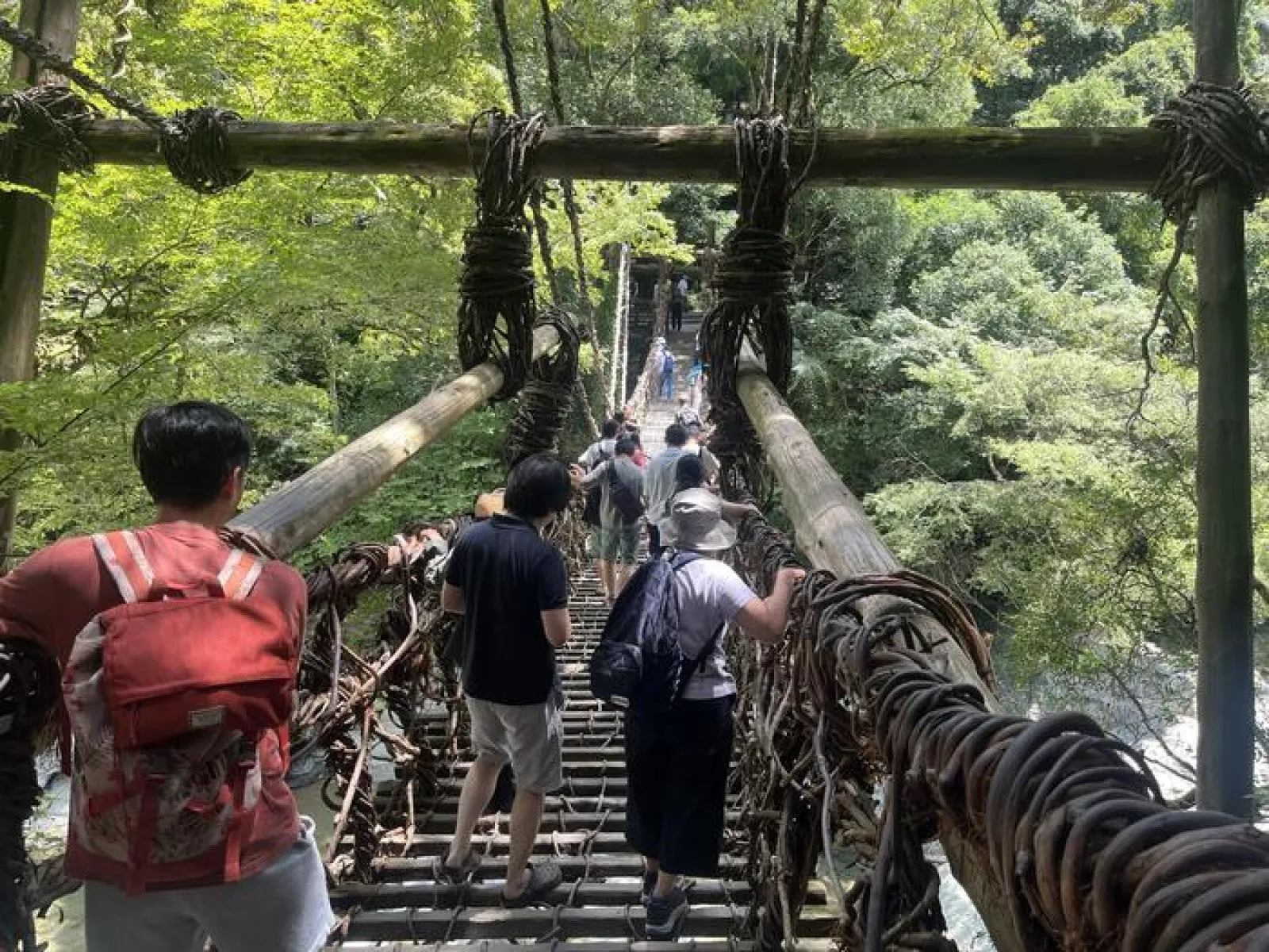 大歩危と祖谷渓の魅力③　祖谷のかずら橋