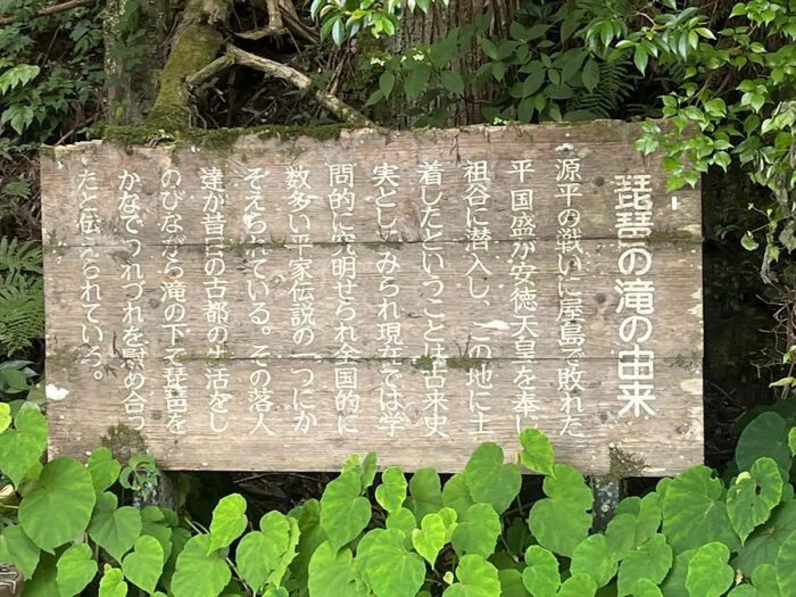 由来
