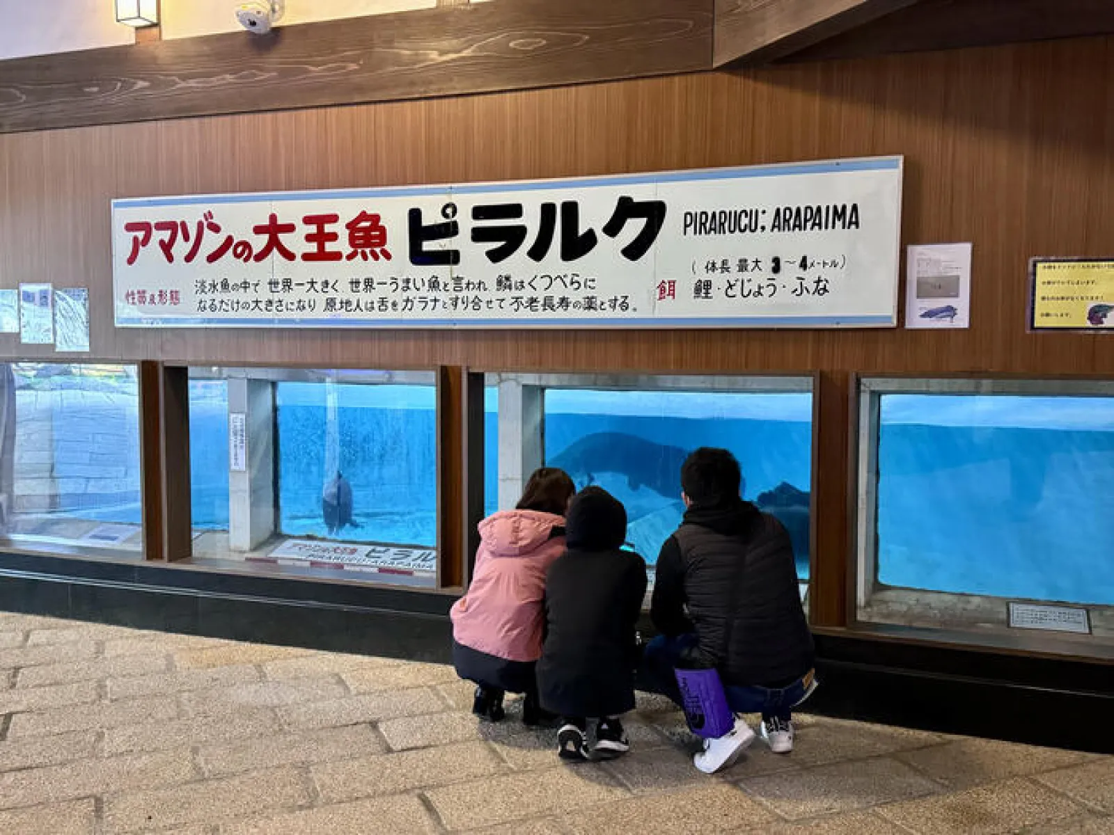 別府地獄めぐり　白池地獄