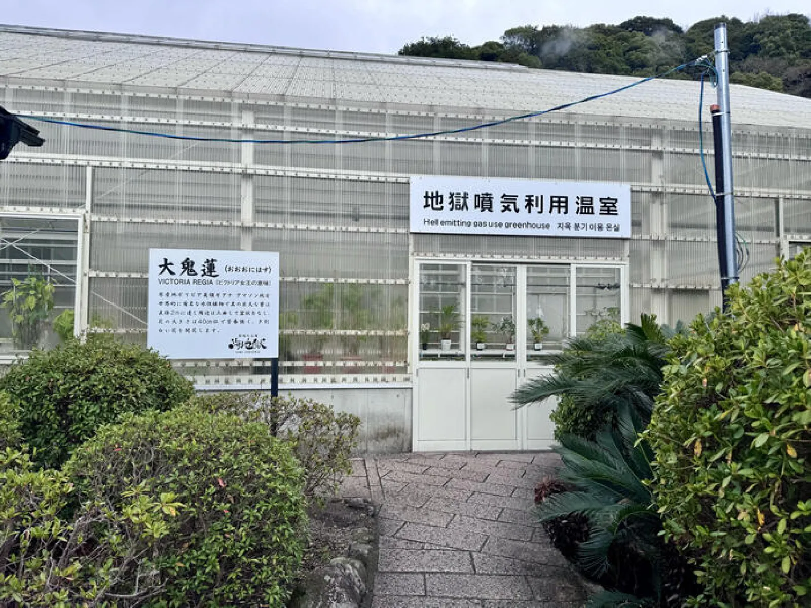 別府地獄めぐり　海地獄