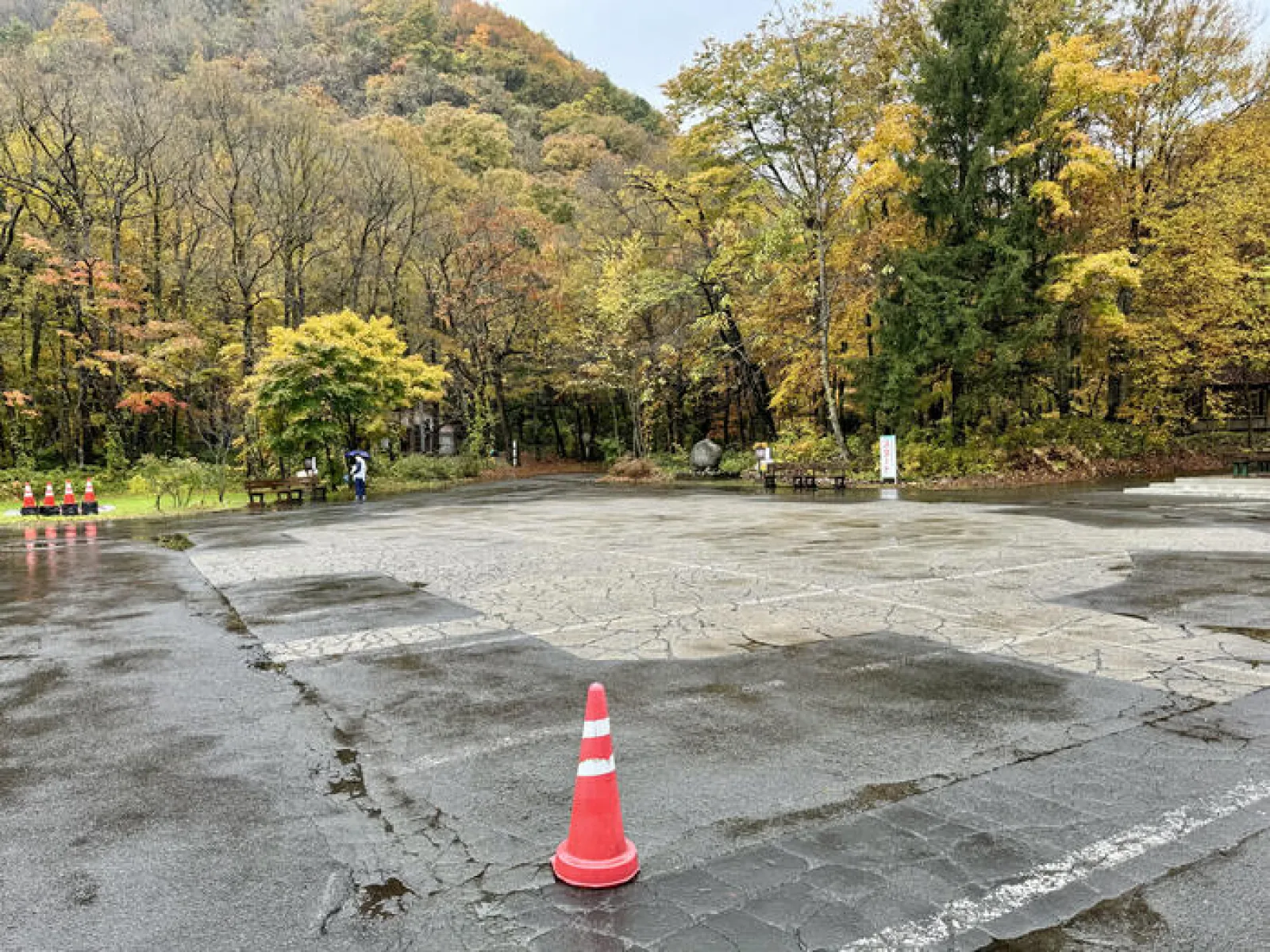 奥入瀬渓流