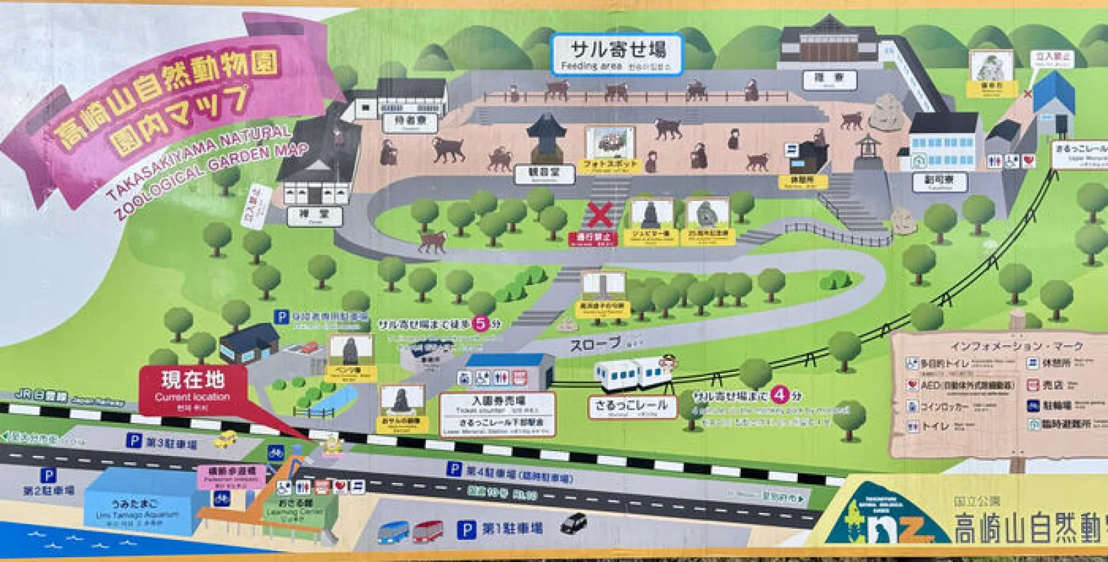 高崎山自然動物園