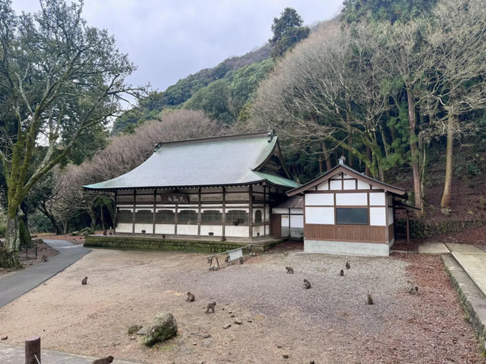 高崎山自然動物園