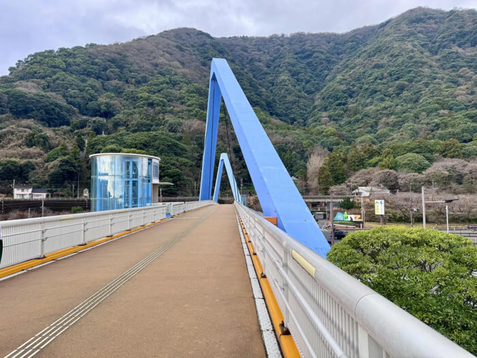 高崎山自然動物園