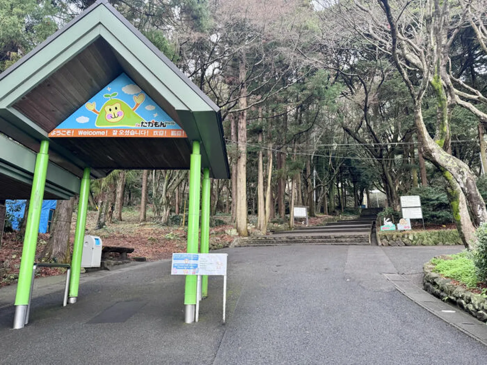 高崎山自然動物園