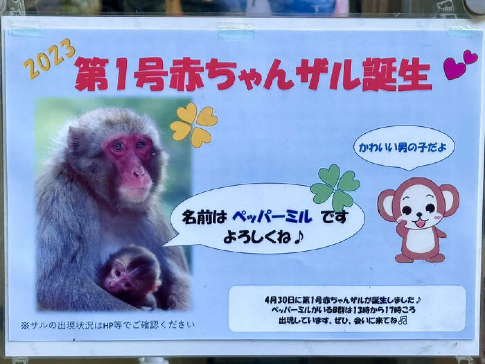 高崎山自然動物園