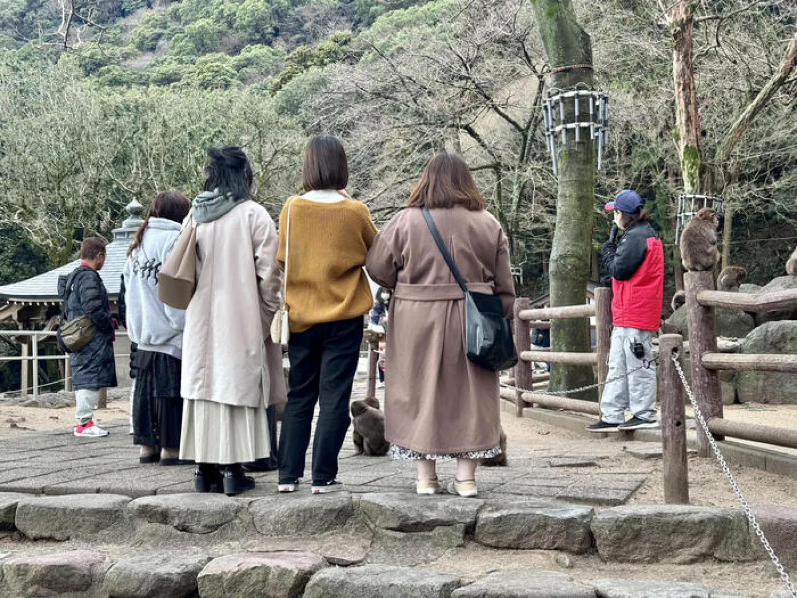 高崎山自然動物園