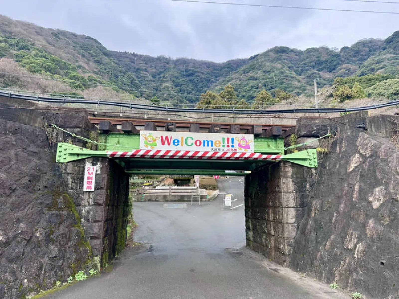 高崎山自然動物園