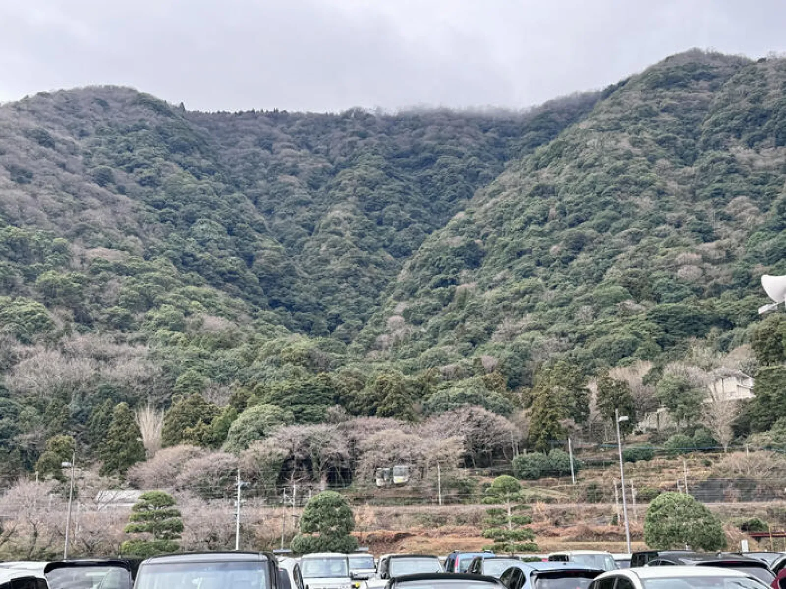 高崎山自然動物園