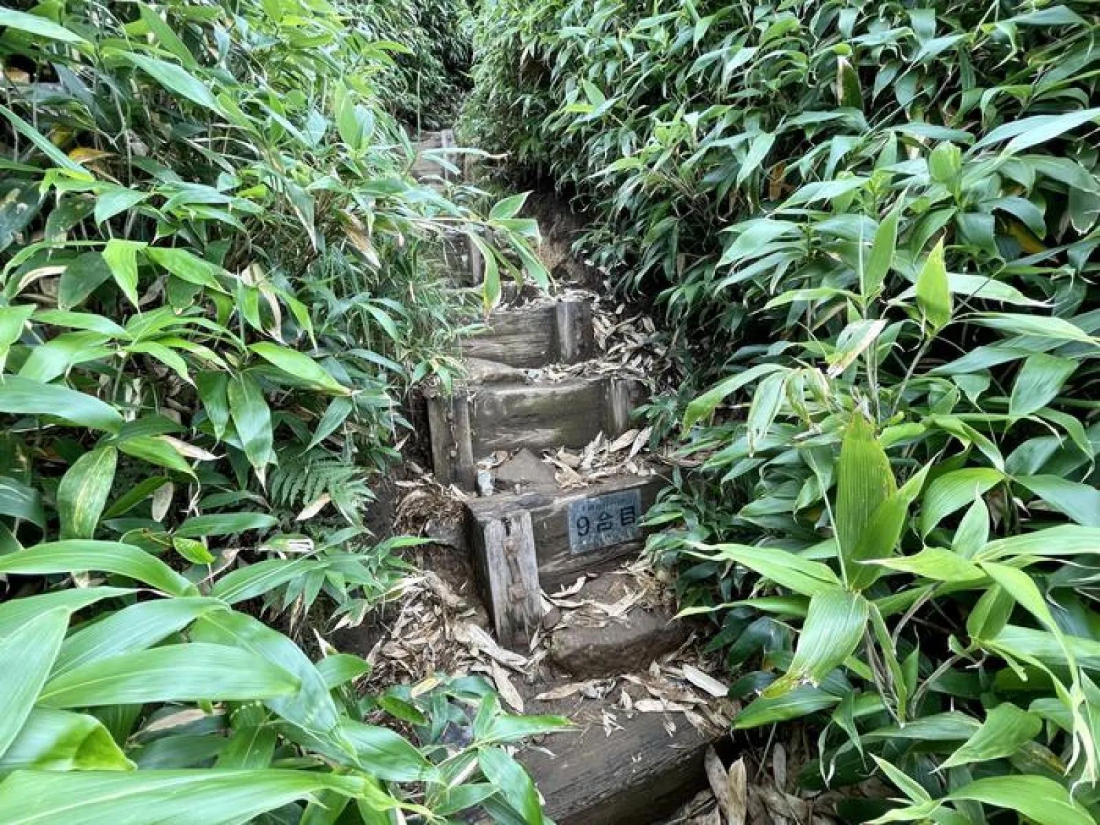 燧ヶ岳　御池ルート