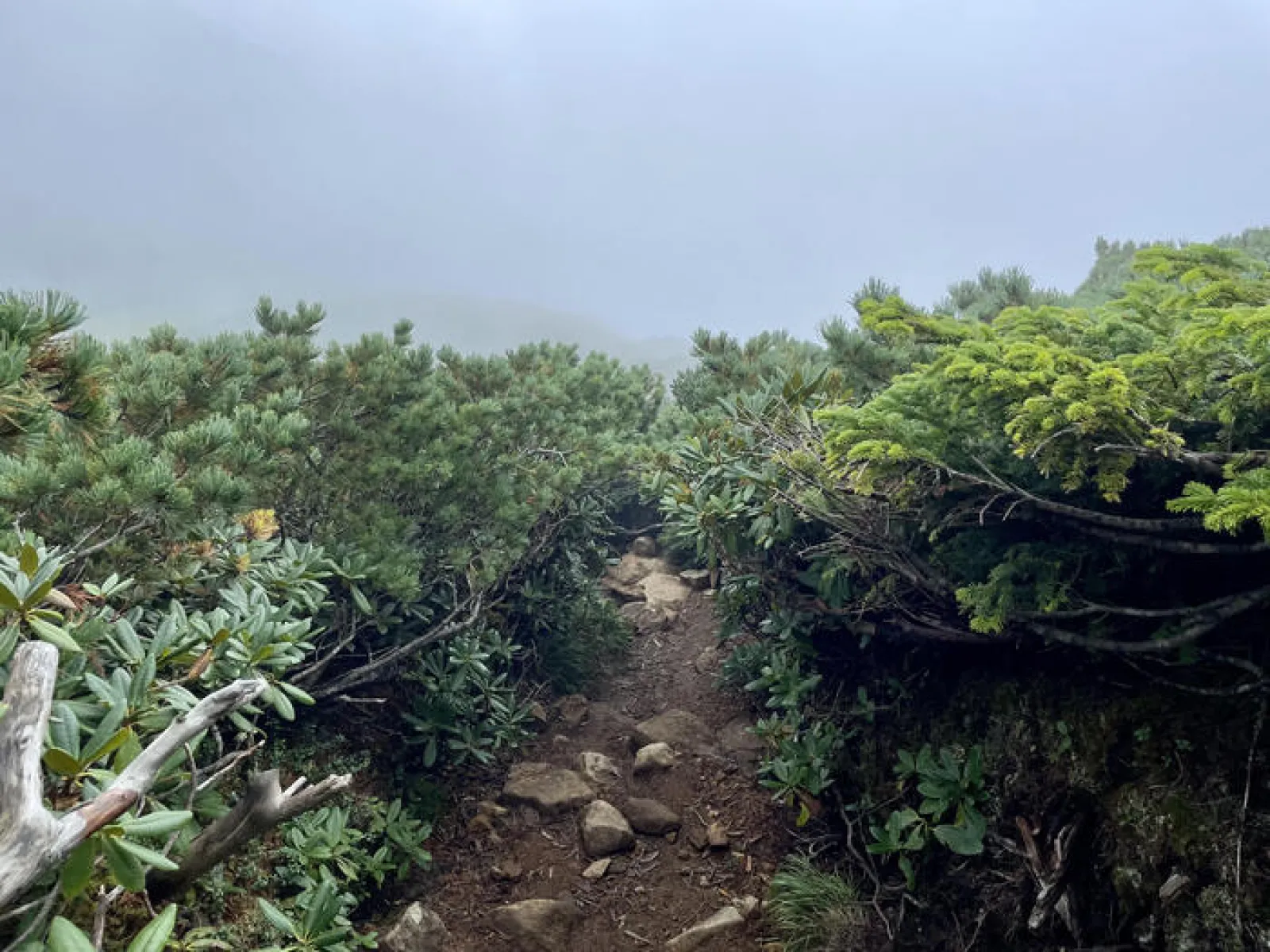 燧ヶ岳